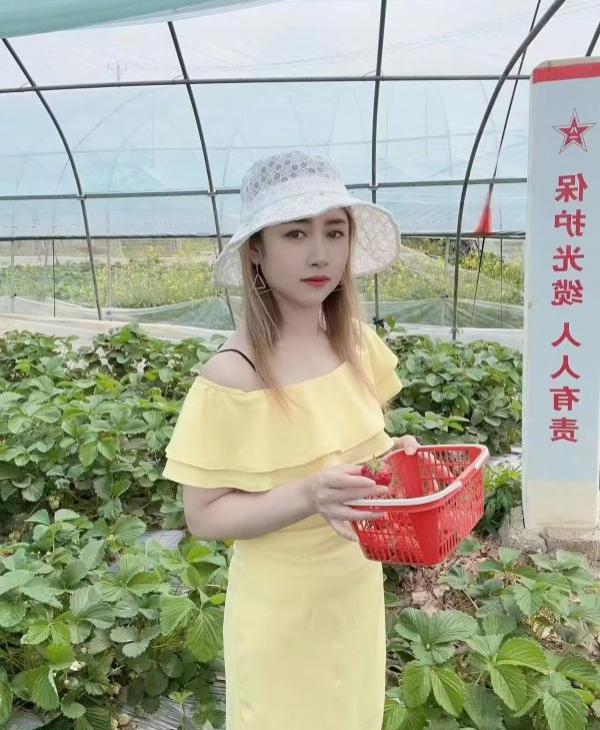 小菲妹子